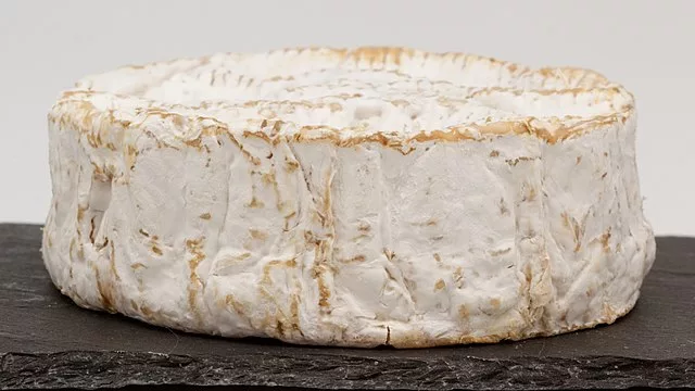 Camembert
