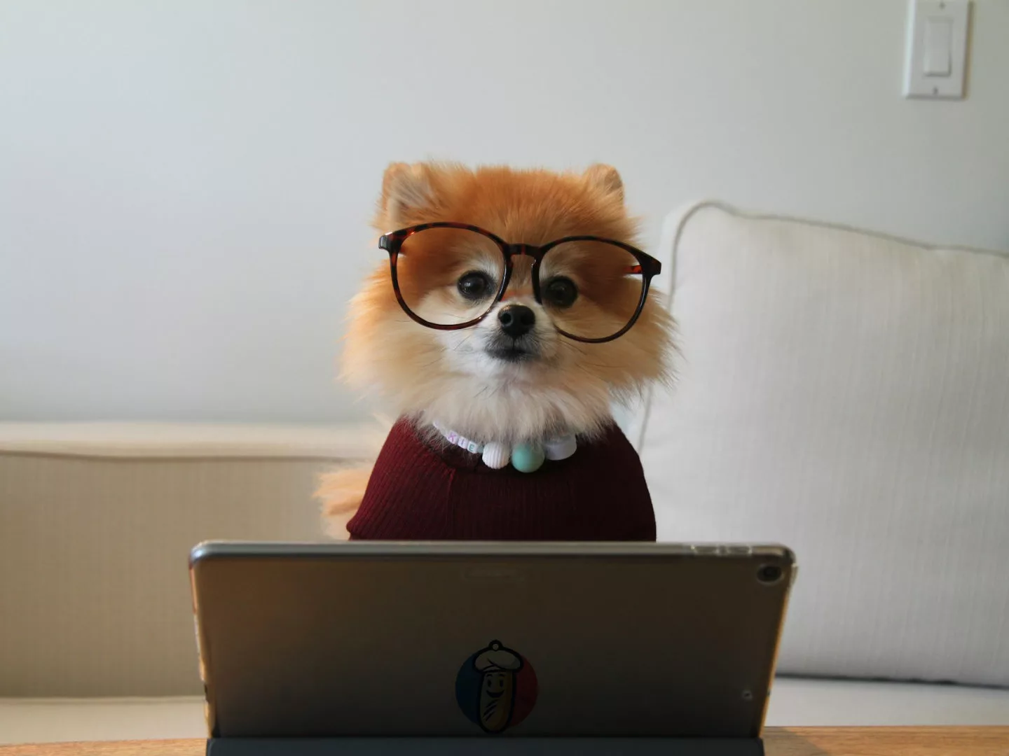 Illustration Chien Pc 4_3