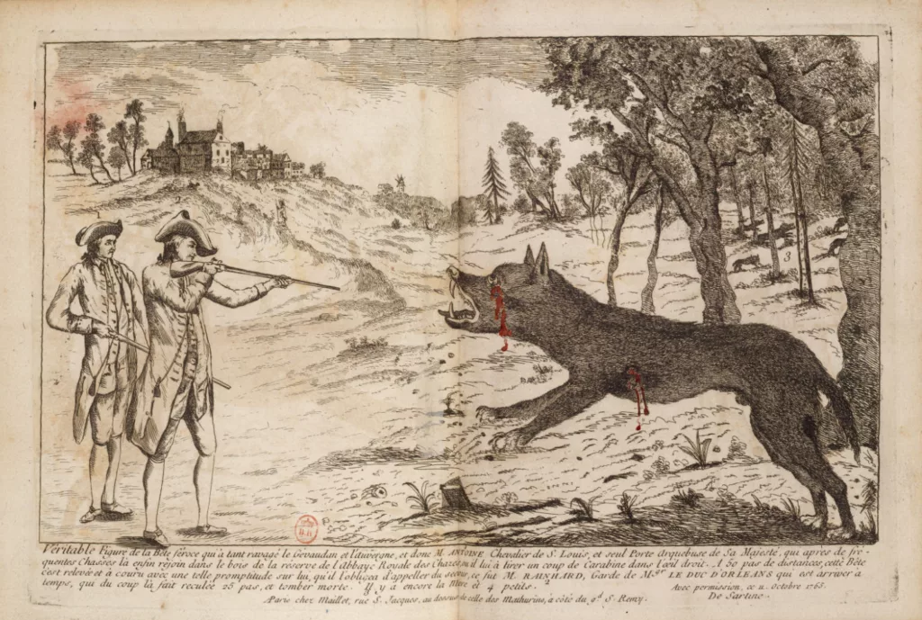 Représentation de la Bête du Gévaudan au XVIIIe siècle, par Magné de Marolles
